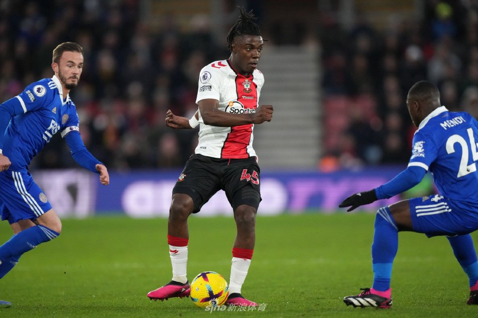 31支球队 31支球队